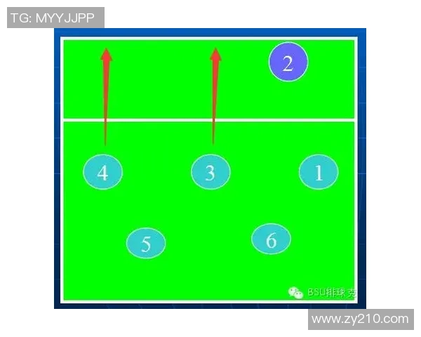 成都排球队战术创新引领排球新潮流成就辉煌战绩